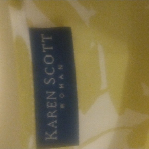 NWOT Size 2X  Karen Scott green and white tank. The green is a light army green. - Picture 3 of 4